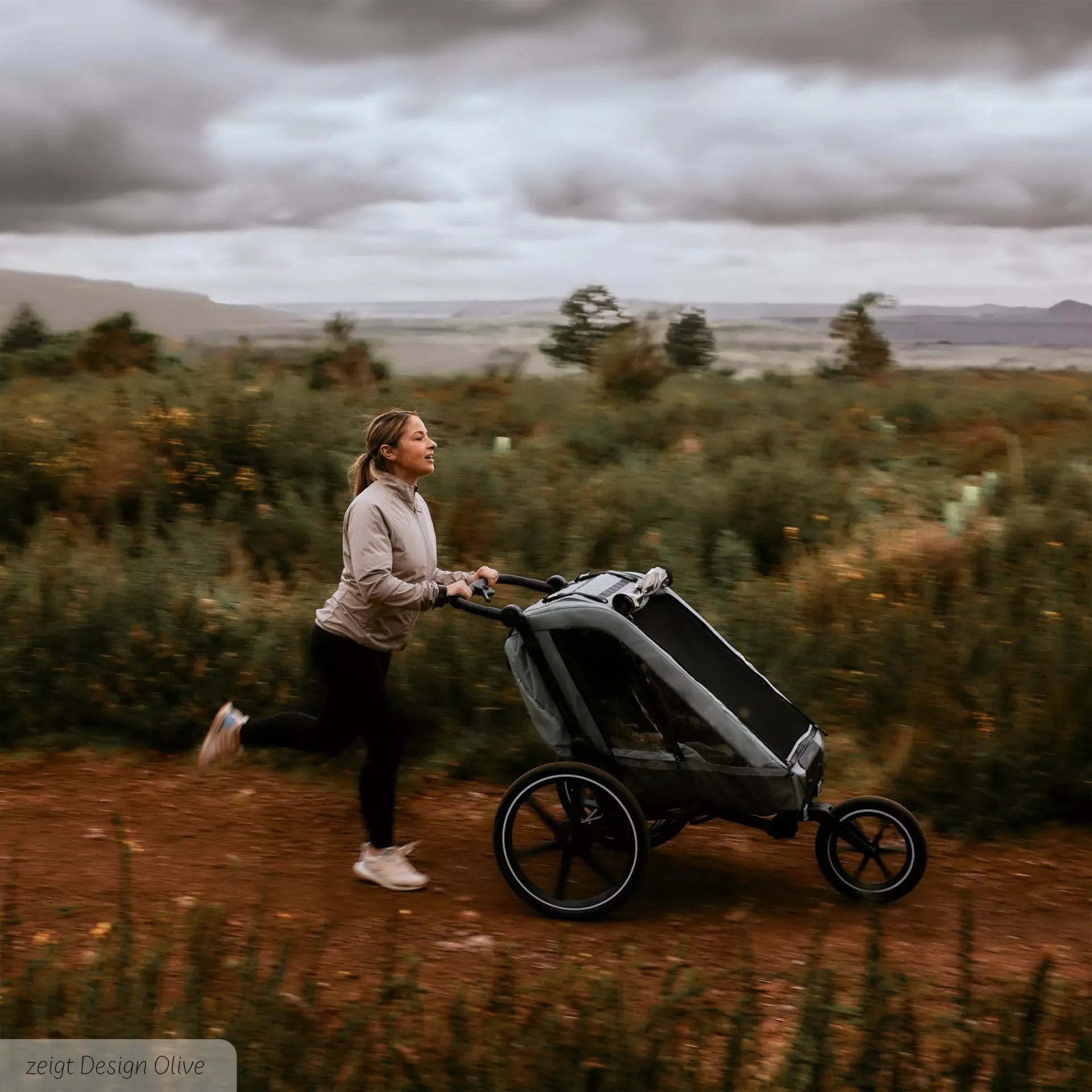 ABC Design Fahrradanhänger Tour