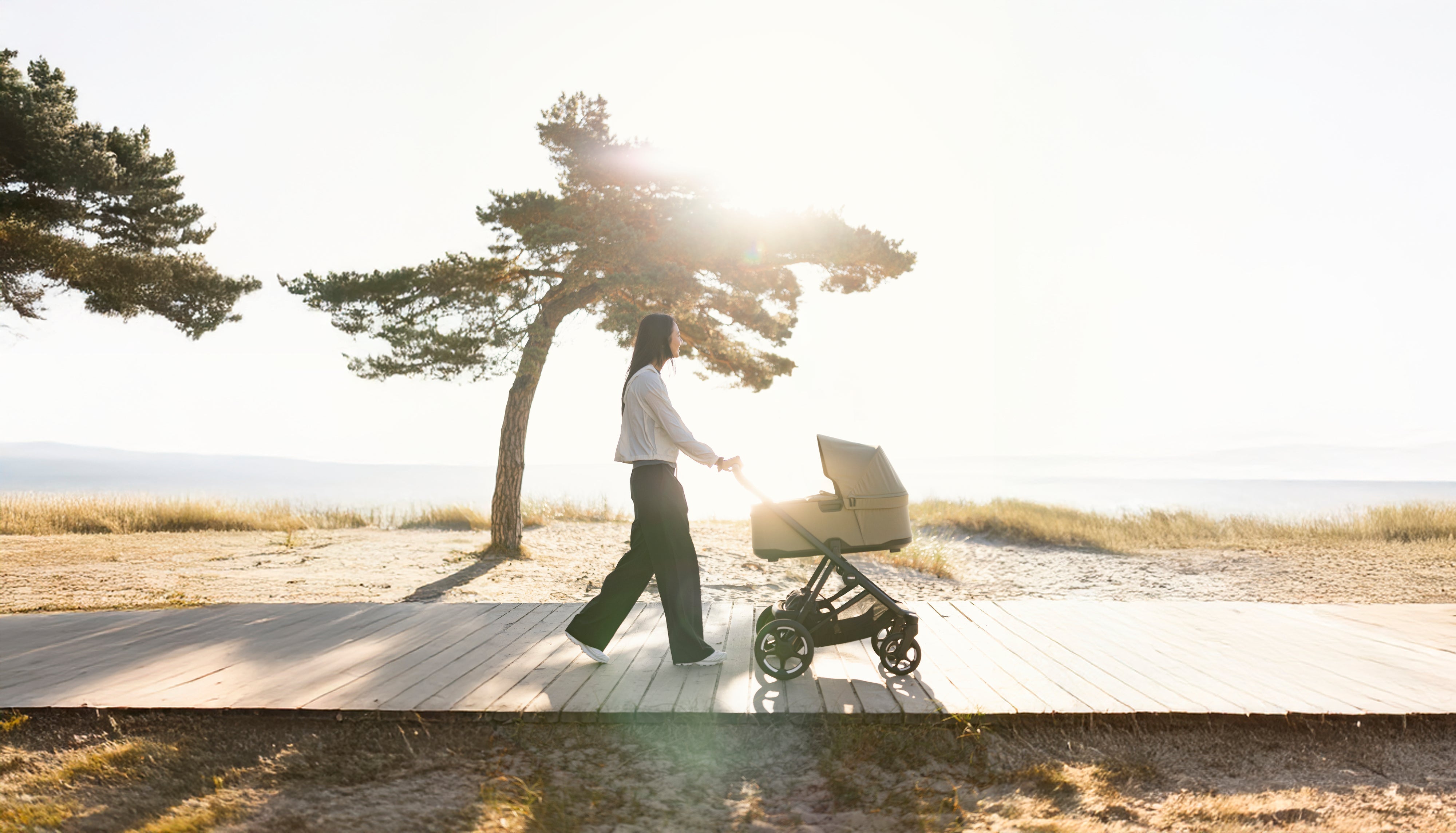 Thule Kinderwagen