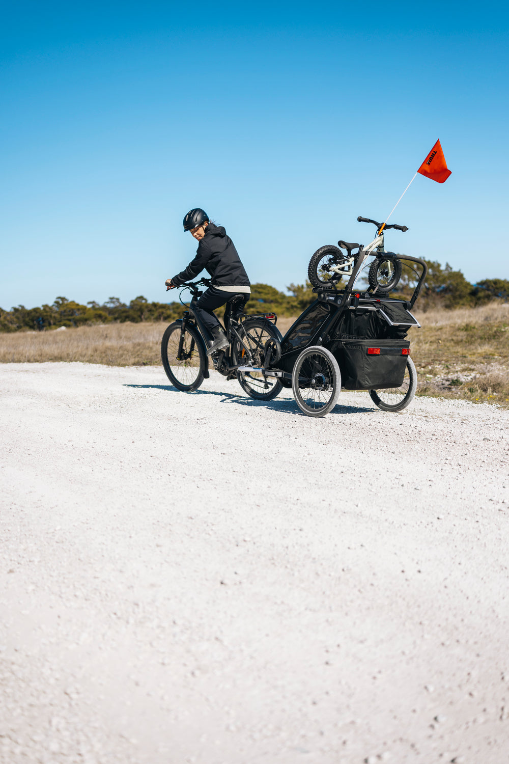 Thule Laufradhalter für Chariot Fahrradanhänger (Doppelsitzer)
