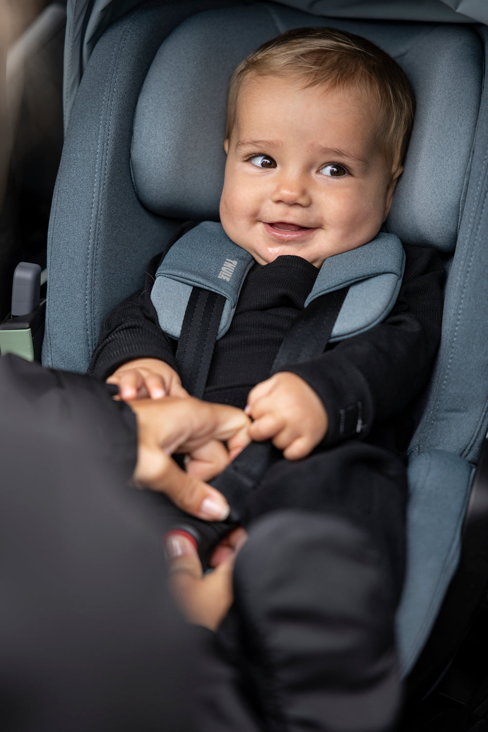 Thule Alfi Base & Maple mid blue