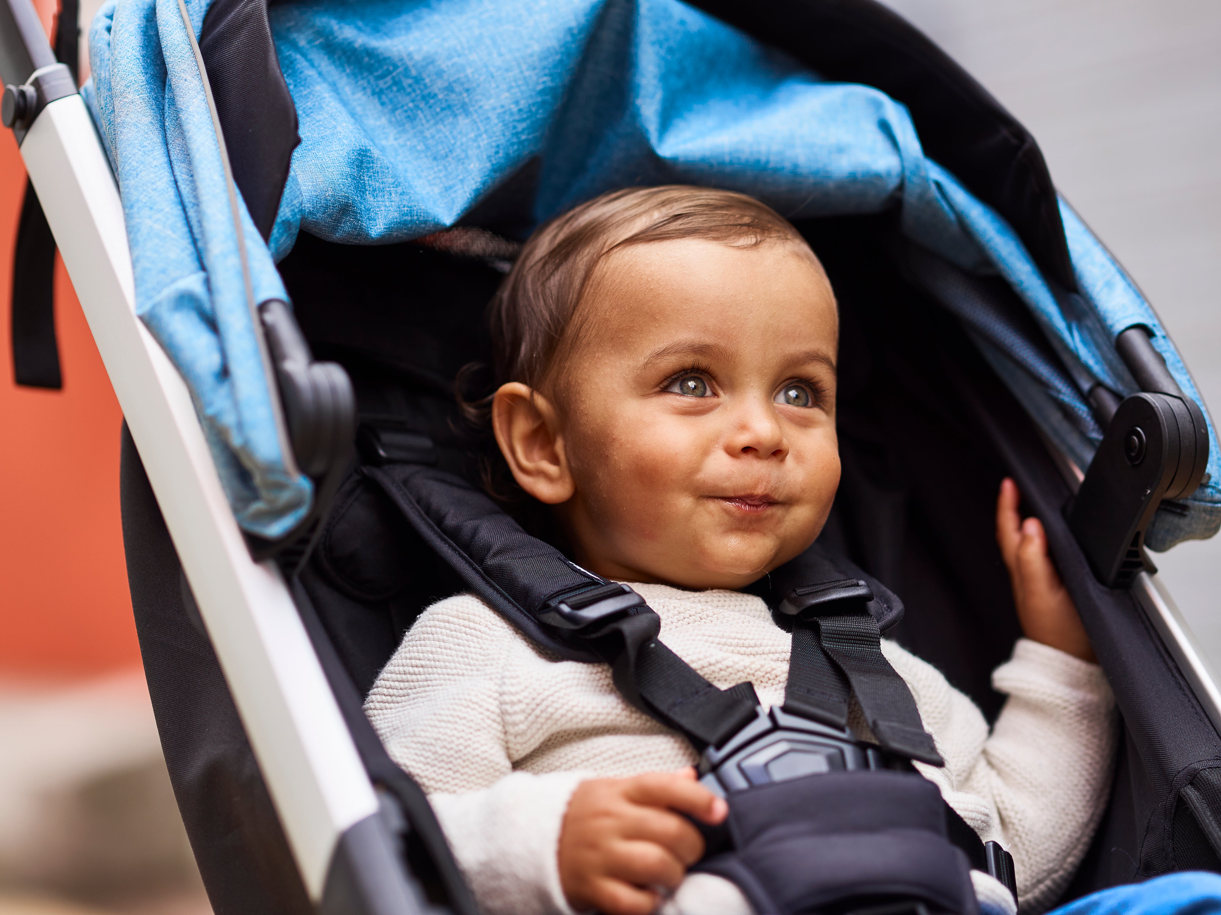 Thule Kinderwagen