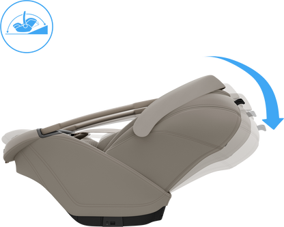 Coral Slide Pro