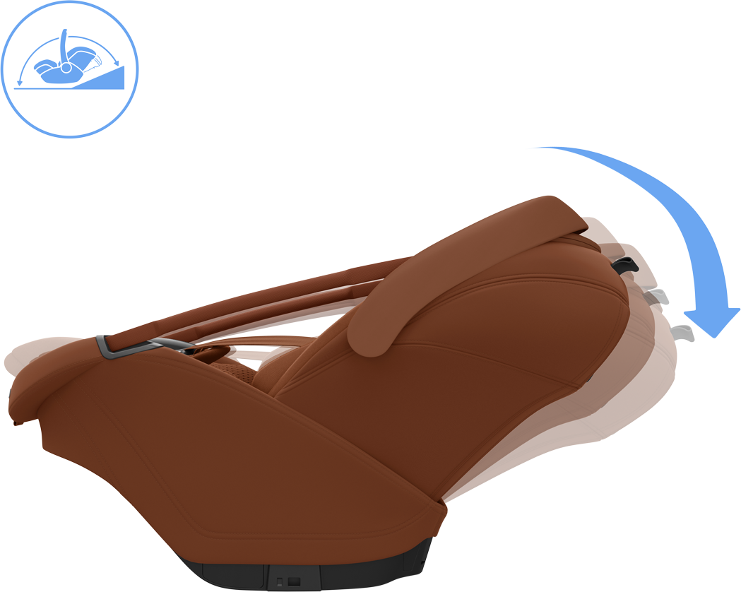 Coral Slide Pro