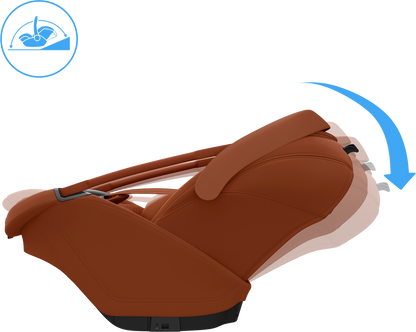 Coral Slide Pro