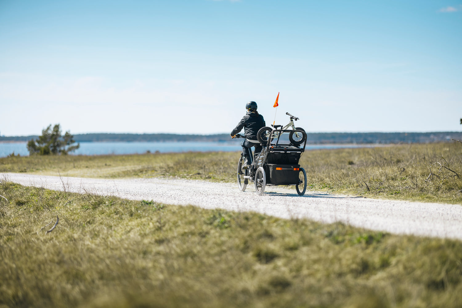 Thule Laufradhalter für Chariot Fahrradanhänger (Doppelsitzer)