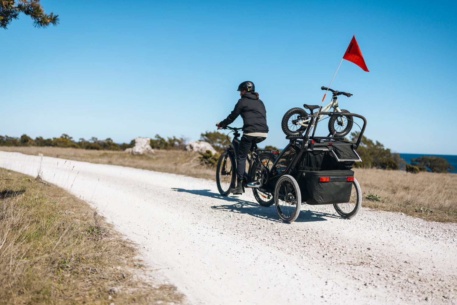 Thule Laufradhalter für Chariot Fahrradanhänger (Doppelsitzer)