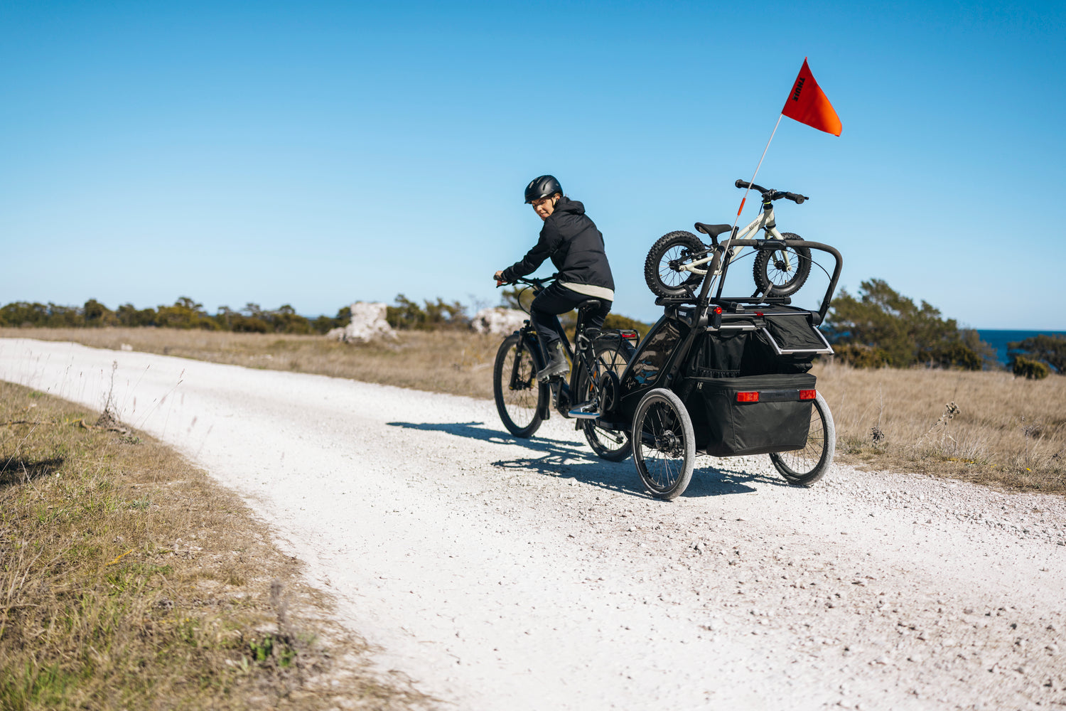 Thule Laufradhalter für Chariot Fahrradanhänger (Doppelsitzer)